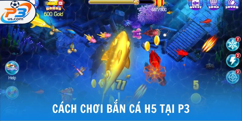 Chơi Game Bắn Cá H5 - Trải Nghiệm Biển Xanh Sống Động Tại P3 6 Cách chơi bắn cá h5 tại P3