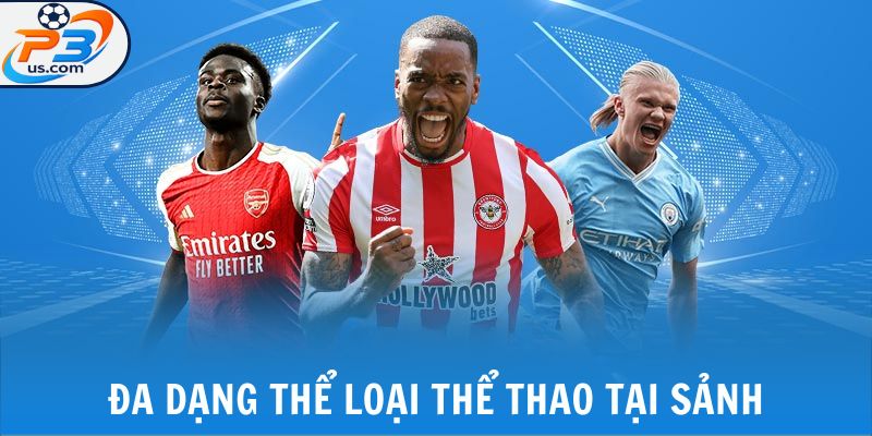 CMD 368 - 4 Môn Thể Thao Được Yêu Thích Nhất Sảnh Game 6 Đa dạng thể loại thể thao tại sảnh