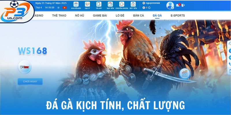 P3 22 Đá gà kịch tính, chất lượng